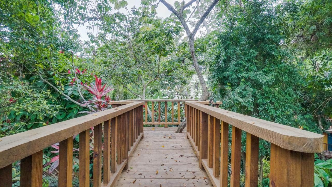 El Yaguacil Aparta Hotel Jarabacoa Zewnętrze zdjęcie